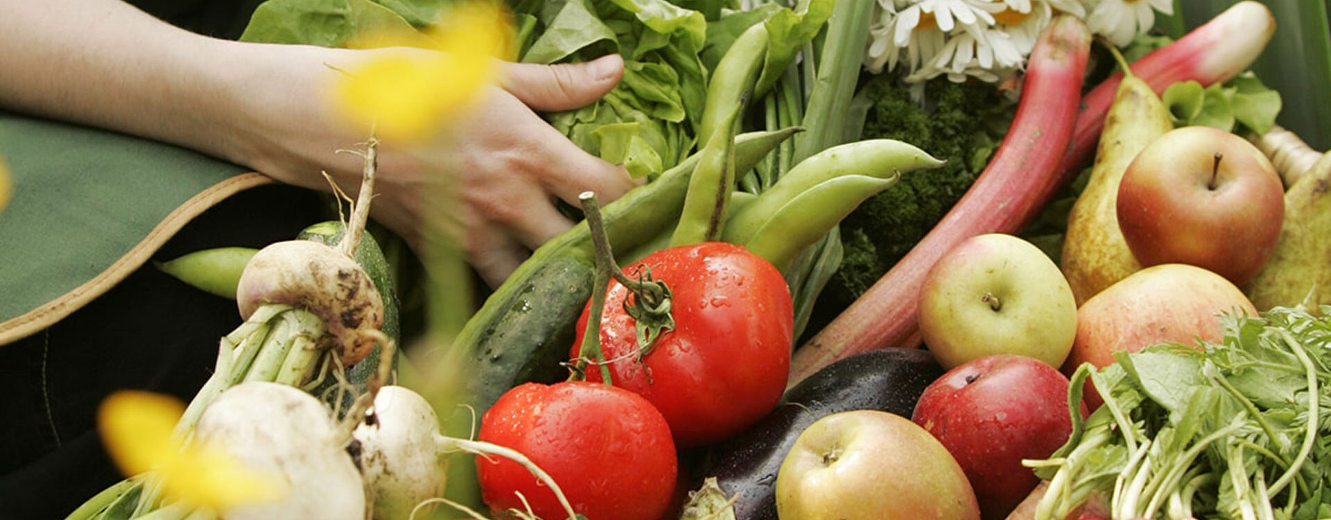 Épicerie Saint-Maurice-sur-Moselle